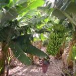 images-1