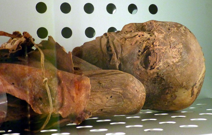 Alle radici della storia: le mummie Guanches