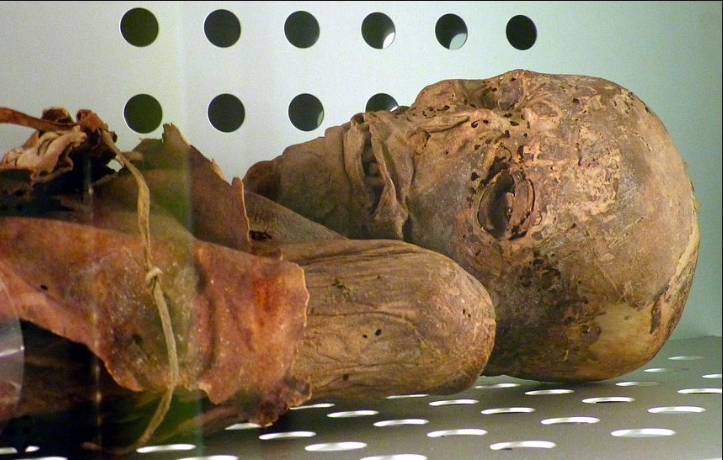 Nuova singolare teoria sulle mummie guanches