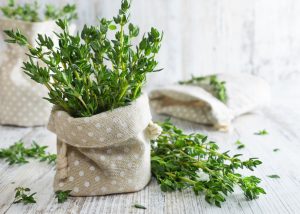 7 erbe naturali che possono aiutare a combattere raffreddore e influenza 