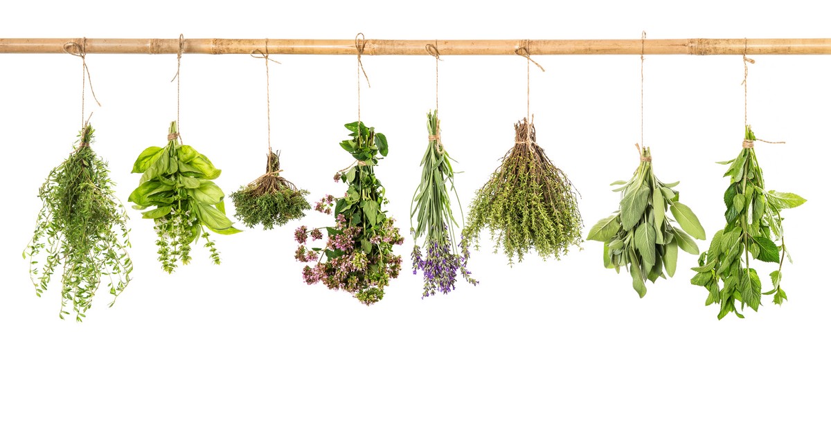 7 erbe naturali che possono aiutare a combattere raffreddore e influenza